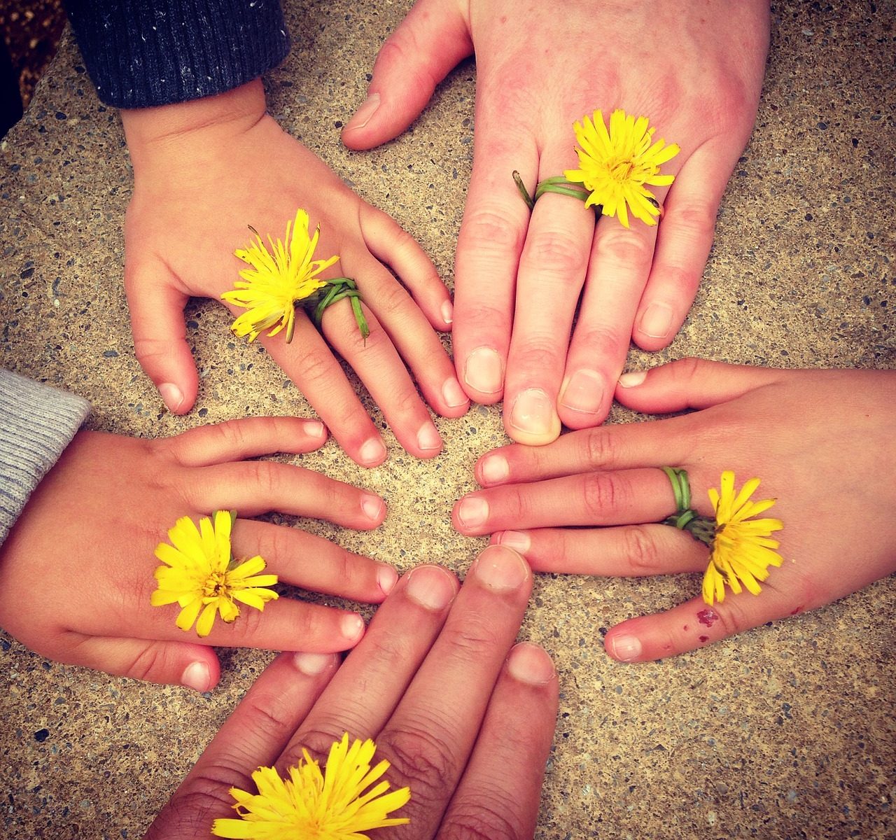 family hand, outdoors, ireland